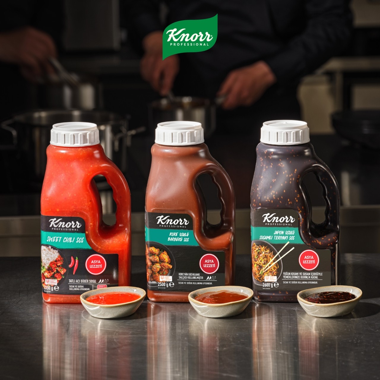 Knorr Professional Asya Sosları Ailesi Reçete Kitapçığı